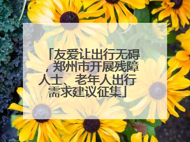 友爱让出行无碍，郑州市开展残障人士、老年人出行需求建议征集