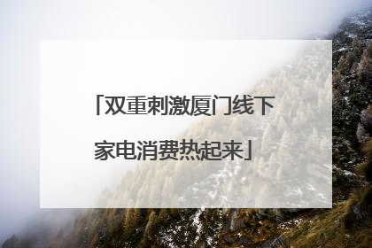 双重刺激厦门线下家电消费热起来