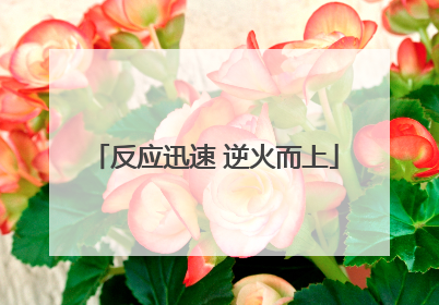 反应迅速 逆火而上
