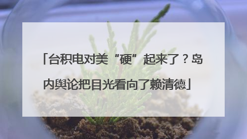 台积电对美“硬”起来了？岛内舆论把目光看向了赖清德