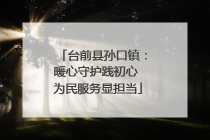 台前县孙口镇：暖心守护践初心 为民服务显担当
