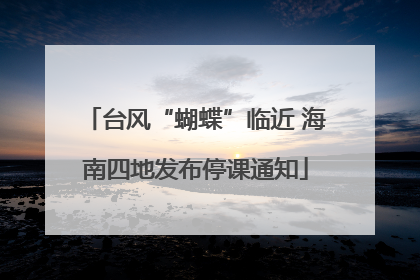台风“蝴蝶”临近 海南四地发布停课通知
