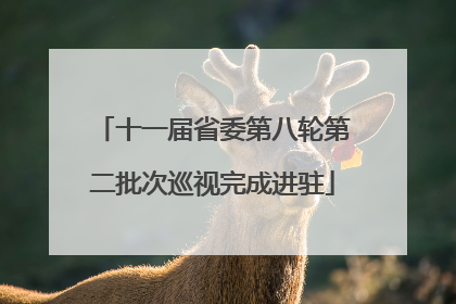 十一届省委第八轮第二批次巡视完成进驻