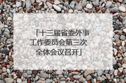 十三届省委外事工作委员会第三次全体会议召开