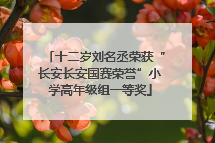 十二岁刘名丞荣获“长安长安国赛荣誉”小学高年级组一等奖