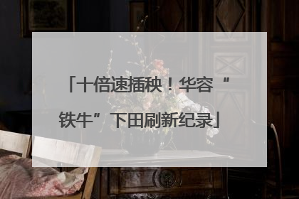 十倍速插秧！华容“铁牛”下田刷新纪录