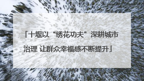 十堰以“绣花功夫”深耕城市治理 让群众幸福感不断提升