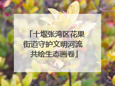 十堰张湾区花果街道守护文明河流 共绘生态画卷