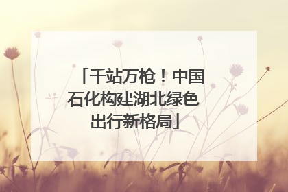 千站万枪！中国石化构建湖北绿色出行新格局