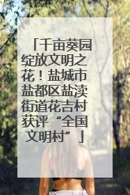 千亩葵园绽放文明之花！盐城市盐都区盐渎街道花吉村获评“全国文明村”