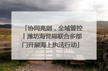 协同亮剑，全域管控丨潍坊海警局联合多部门开展海上执法行动