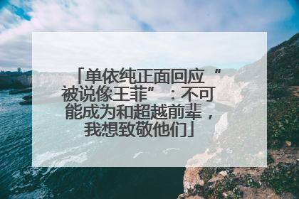 单依纯正面回应“被说像王菲”：不可能成为和超越前辈，我想致敬他们