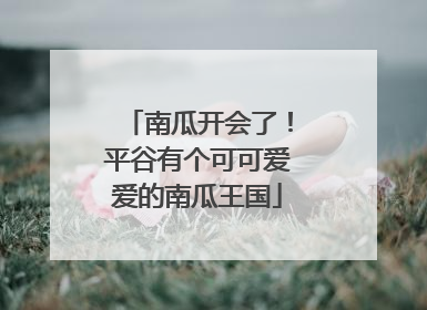 南瓜开会了！平谷有个可可爱爱的南瓜王国
