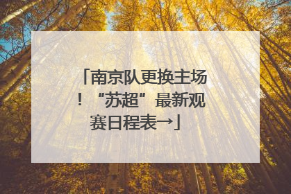 南京队更换主场！“苏超”最新观赛日程表→