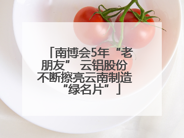 南博会5年“老朋友” 云铝股份不断擦亮云南制造“绿名片”