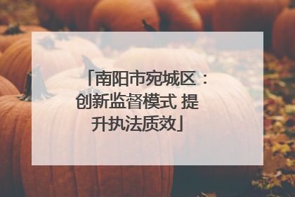 南阳市宛城区：创新监督模式 提升执法质效