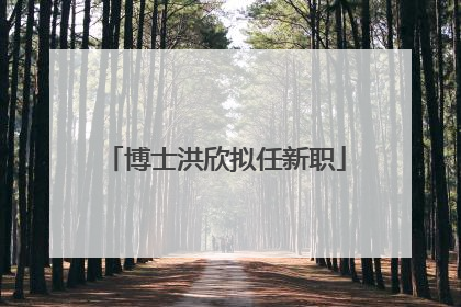 博士洪欣拟任新职