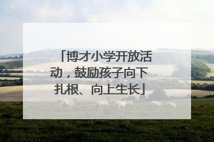 博才小学开放活动，鼓励孩子向下扎根、向上生长