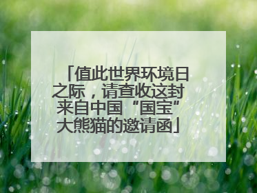 值此世界环境日之际，请查收这封来自中国“国宝”大熊猫的邀请函