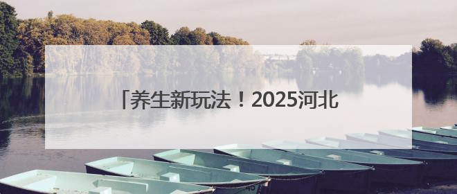 养生新玩法！2025河北省中医药文化夜市开幕啦