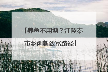 养鱼不用塘？江陵秦市乡创新致富路径