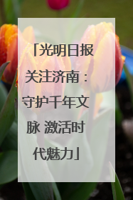 光明日报关注济南：守护千年文脉 激活时代魅力