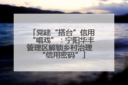 党建“搭台”信用“唱戏”：宁阳华丰管理区解锁乡村治理“信用密码”