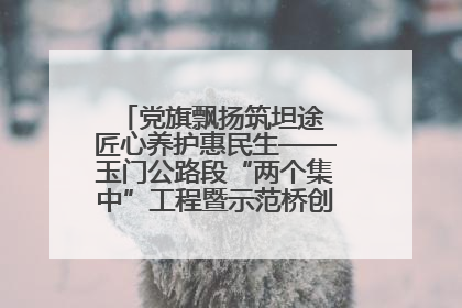 党旗飘扬筑坦途 匠心养护惠民生——玉门公路段“两个集中”工程暨示范桥创建项目圆满收官