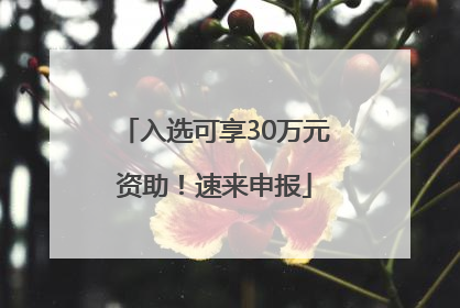入选可享30万元资助！速来申报