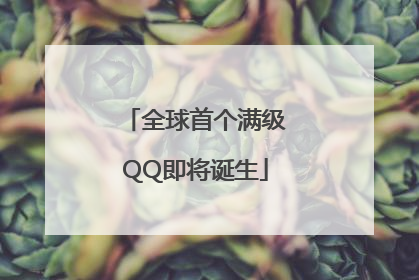 全球首个满级QQ即将诞生