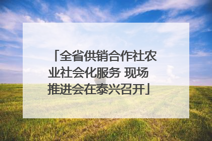 全省供销合作社农业社会化服务 现场推进会在泰兴召开