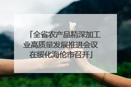 全省农产品精深加工业高质量发展推进会议在绥化海伦市召开
