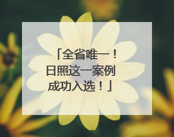 全省唯一！日照这一案例成功入选！