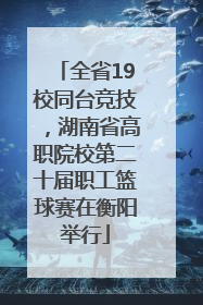全省19校同台竞技，湖南省高职院校第二十届职工篮球赛在衡阳举行