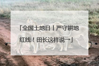 全国土地日丨严守耕地红线！田长这样说→