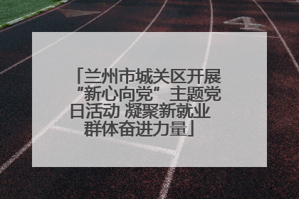 兰州市城关区开展“新心向党”主题党日活动 凝聚新就业群体奋进力量