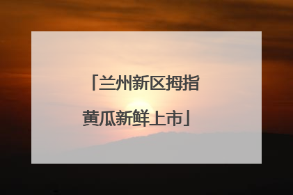 兰州新区拇指黄瓜新鲜上市