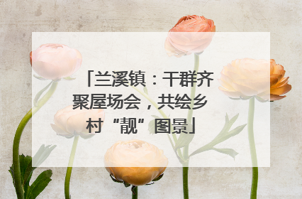 兰溪镇：干群齐聚屋场会，共绘乡村“靓”图景