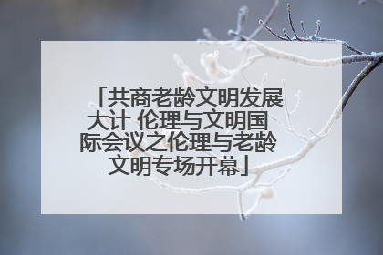 共商老龄文明发展大计 伦理与文明国际会议之伦理与老龄文明专场开幕