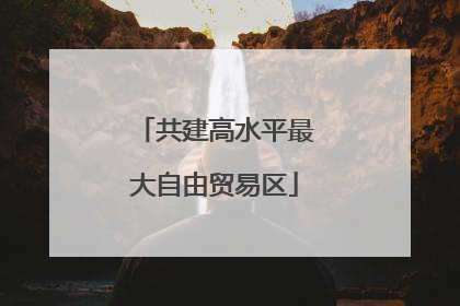 共建高水平最大自由贸易区