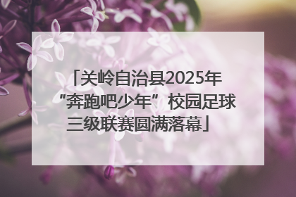 关岭自治县2025年“奔跑吧少年”校园足球三级联赛圆满落幕