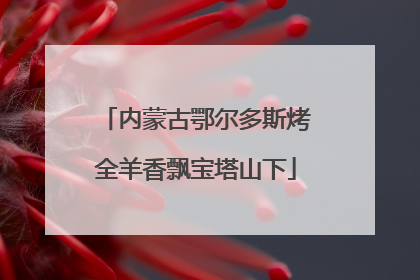 内蒙古鄂尔多斯烤全羊香飘宝塔山下