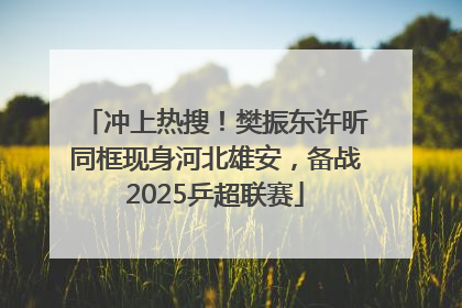 冲上热搜！樊振东许昕同框现身河北雄安，备战2025乒超联赛