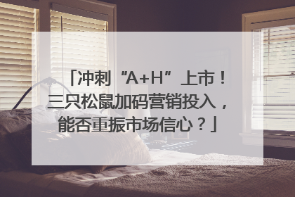 冲刺“A+H”上市！三只松鼠加码营销投入，能否重振市场信心？
