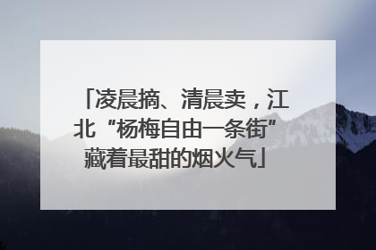 凌晨摘、清晨卖，江北“杨梅自由一条街”藏着最甜的烟火气