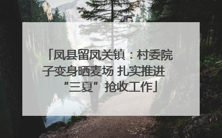 凤县留凤关镇：村委院子变身晒麦场 扎实推进“三夏”抢收工作