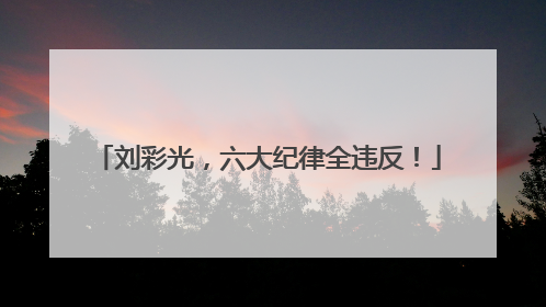 刘彩光，六大纪律全违反！