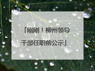 刚刚！柳州领导干部任职前公示