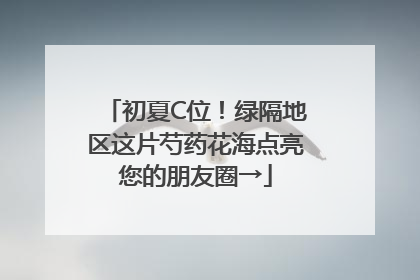 初夏C位！绿隔地区这片芍药花海点亮您的朋友圈→