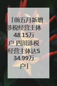 前五月新增涉税经营主体48.15万户 四川涉税经营主体达534.99万户